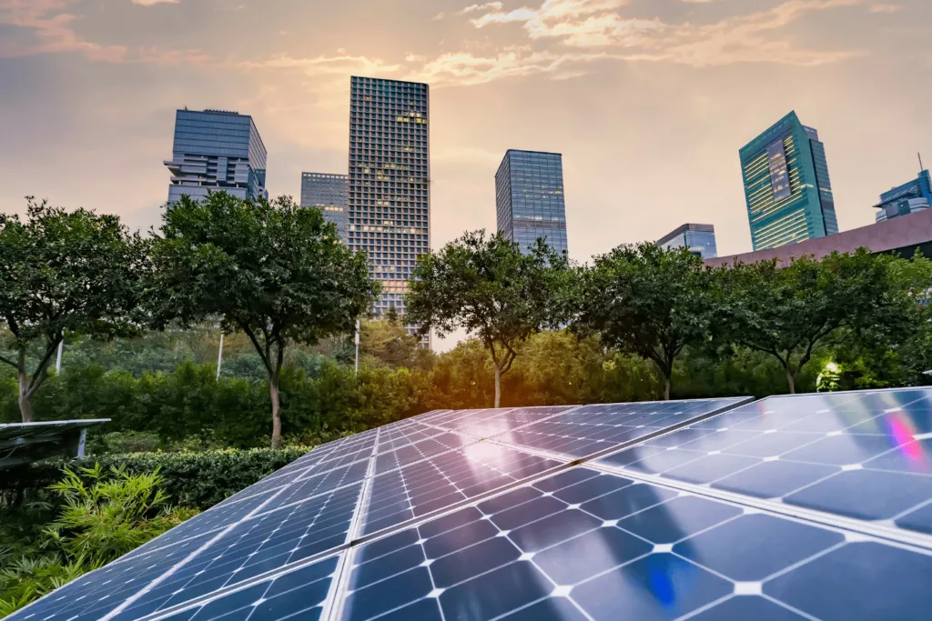 Sustainability Management and Innovation